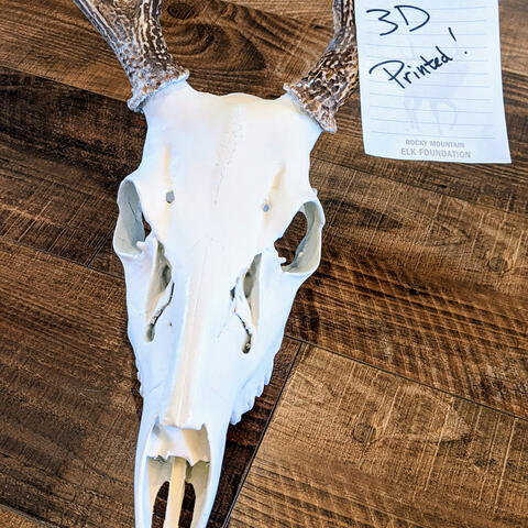 Walleye Ice Rod Features