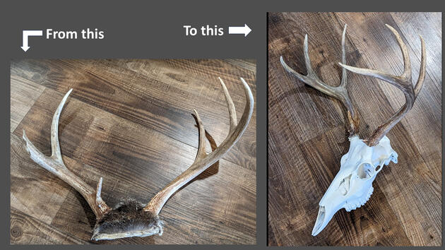 Walleye Ice Rod Features